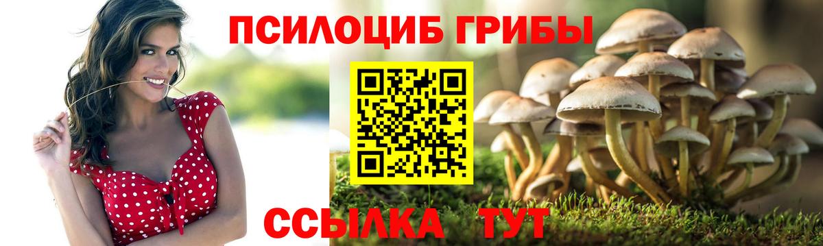 Галлюциногенные грибы GOLDEN TEACHER  Вход с VPN  Псилоцибиновые грибы Psilocybine cubensis  Моздок 